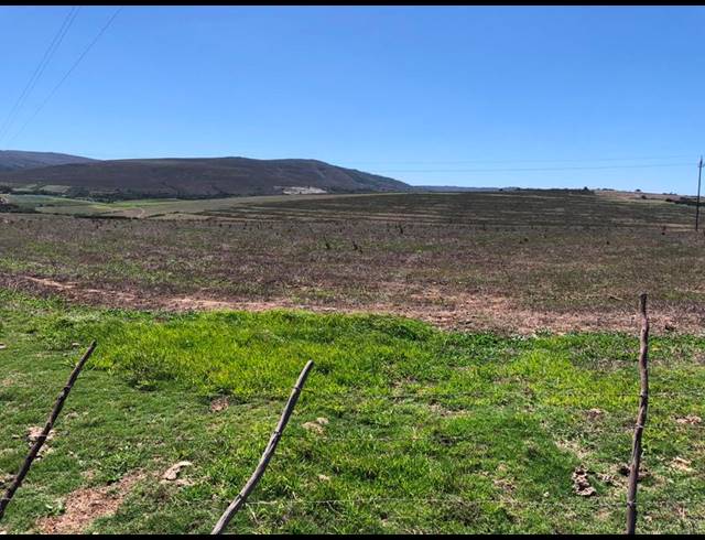 FARM FOR SALE IN BAARDSKEERDERSBOS